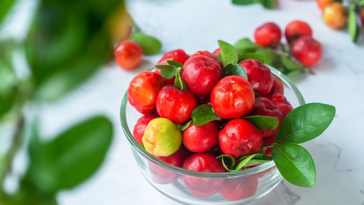 Acerola: Immune System Booster and High Natural Sugar Content