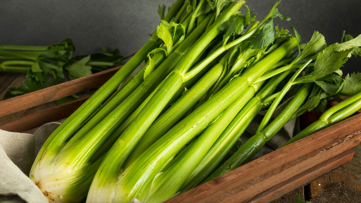 Celery: Blood Pressure Control and Allergy Considerations