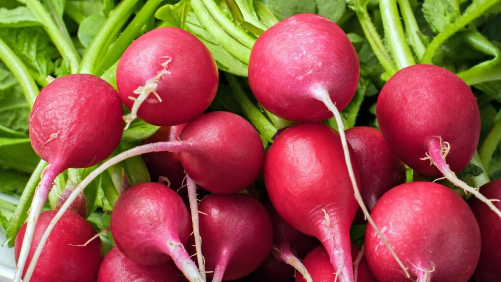 Radishes: Weight Loss Aids and Goitrogenic Properties